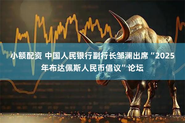 小额配资 中国人民银行副行长邹澜出席“2025年布达佩斯人民币倡议”论坛